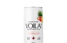 Cannabis-Infused Sparkling Waters