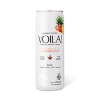 Cannabis-Infused Sparkling Waters Image 1