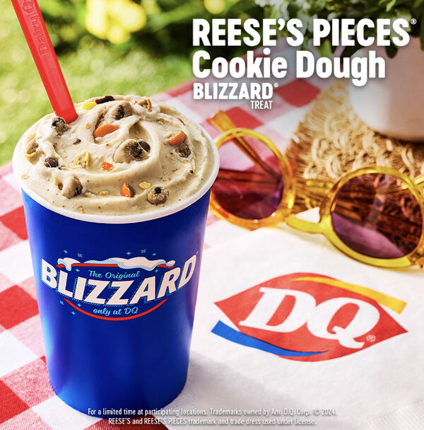 Nutty Chocolate Ice Creams : Reese’s Pieces Cookie Dough Blizzard