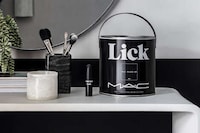 Jet-Black Interior Paints Image 1