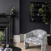 Jet-Black Interior Paints Image 2