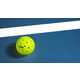 Optimized Pro Pickleballs Image 1