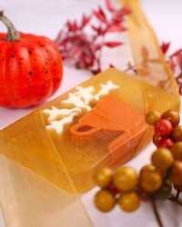 Playful Autumn Soaps Image 4