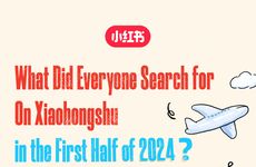 Chinese Youth Search Reports