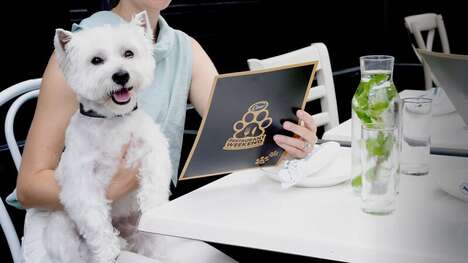 Dog-Friendly Dining Events