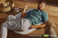 Humorous Pet Furniture Campaigns Image 1