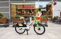 Flavor Fusion E-Bikes Image 2