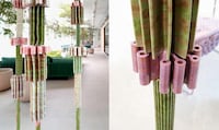 Natural Resource Ceramic Collection Image 2