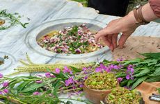 Outdoor Carbon-Free Cooking Kitchens