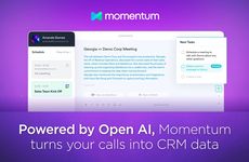 AI Sales Call Summaries