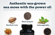 Stamina-Enhancing Sea Moss Supplements