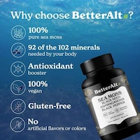 Stamina-Enhancing Sea Moss Supplements Image 2