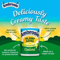 Vegan-Friendly Canned Custards Image 2