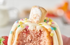 Toaster Pastry Bundt Cakes