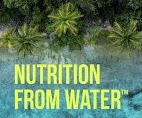 Microalgae-Based Whey Alternatives Image 1