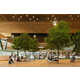 Mass-Timber Airport Rooftops Image 1