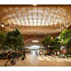 Mass-Timber Airport Rooftops Image 3