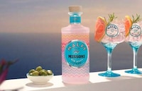 Italian Heritage Spirit Bottles Image 1