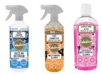 Fragrance-Focused Cleaning Products Image 1