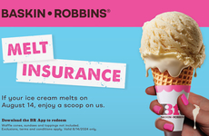 Ice Cream Insurance Plans