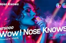 Disposable Nose Vapes