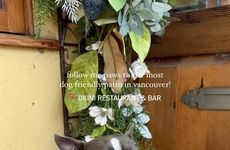 Seasonal Pet-Friendly Menus