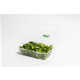 Freshness-Boosting Packaging Stickers Image 1