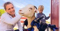 Anxiety-Alleviating Animal Experiences