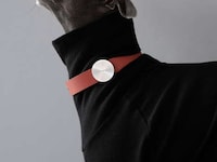AI Canine Health Collars Image 1