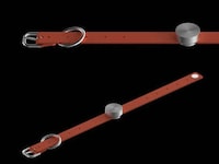 AI Canine Health Collars Image 3