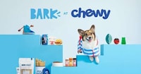 Collaborative Dog-Focused Toys