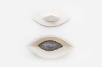Mycelium-Made Biodegradable Urns Image 1
