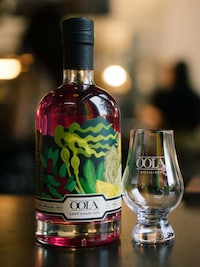 Aesthetically Pleasing Botanical Gins