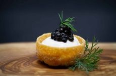 Mycelium-Based Fish-Free Caviar