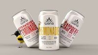 Beneficial Lifestyle Cannabis Drinks Image 1