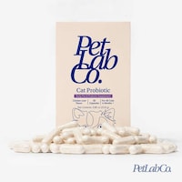 Vet-Formulated Cat Probiotics Image 1
