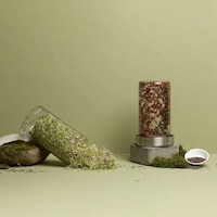 Easy Jar Sprouting Systems Image 2