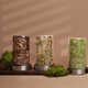 Easy Jar Sprouting Systems Image 3