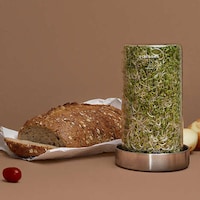 Easy Jar Sprouting Systems Image 5
