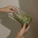 Easy Jar Sprouting Systems Image 6