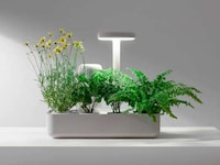 Minimalist Indoor Gardening Systems Image 1