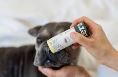 Microbiome-Balancing Pet Balms