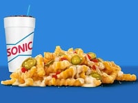 Creamy Loaded Fries Image 2