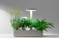 Portable Minimal Smart Planters