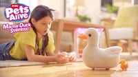 Hatching Duck Toys Image 1
