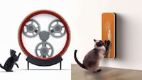 Feline-Friendly Music Accessories Image 1