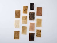 Waste-Transformed Biomaterials Image 3