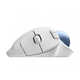 Ergonomic Rolling Ball Mice Image 1