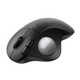 Ergonomic Rolling Ball Mice Image 2