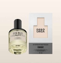Spicy Eucalyptus Fragrances Image 2